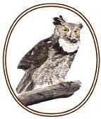 Kelleys Island Audubon Club logo